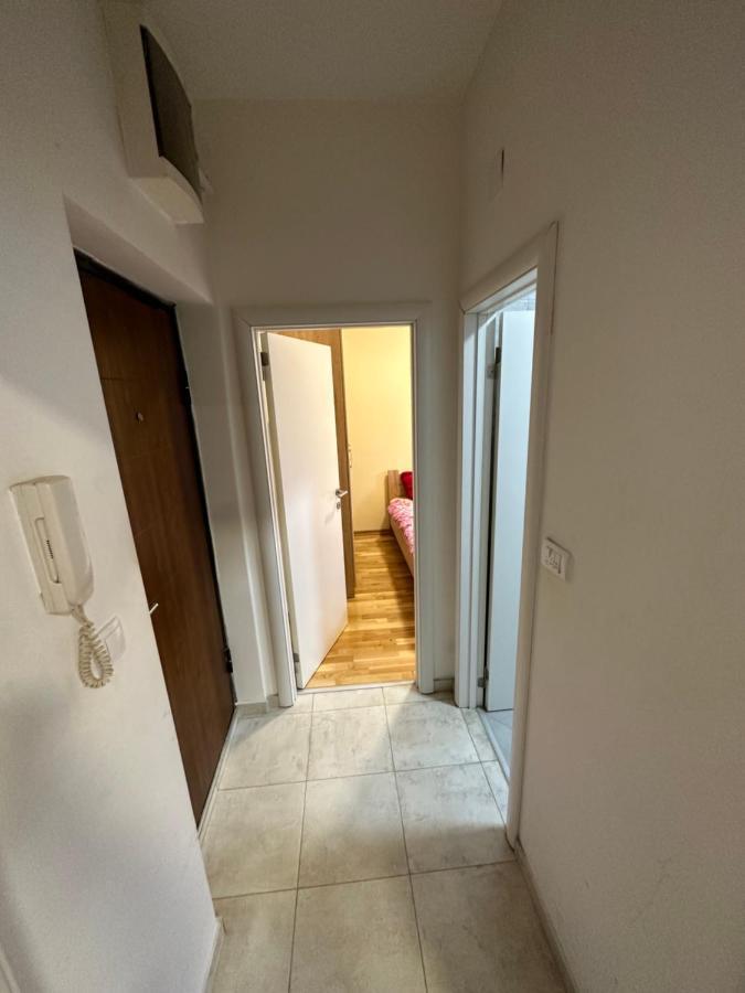 Selena Apartment Podgorica Exteriér fotografie